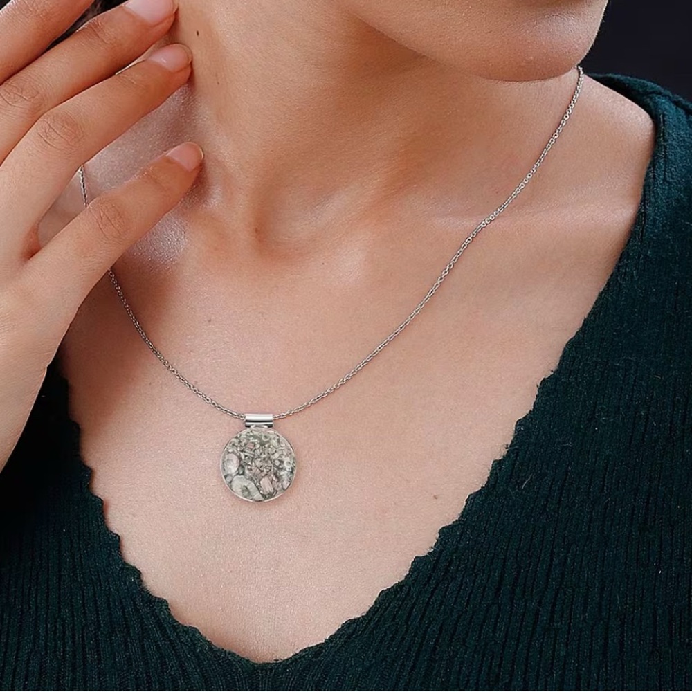 Insect Fossil Jasper Pendant Stainless Steel Necklace
